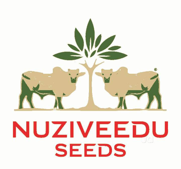 Nuziveedu